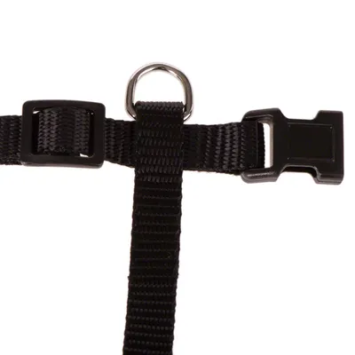 Black nylon harness with adjustable buckle and metal ring for attachment.