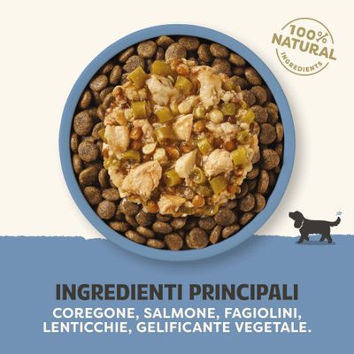 Multipack risparmio! Applaws Taste Toppers in Salsa 24 x 85 g per cani