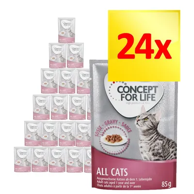 24 buste Concept for Life All Cats, alimento umido per gatti adulti, 85 g ciascuna. Immagine della confezione con gatto e scritta 'SOßE - GRAVY - SAUCE'. 24 buste Concept for Life All Cats, alimento umido per gatti adulti, 85 g ciascuna. Immagine della confezione con gatto e scritta 'SOßE - GRAVY - SAUCE'.