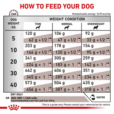 Feeding guide table showing daily dry and mixed food amounts by dog weight and condition: thin, normal, overweight. Includes water advice and note to consult a vet.