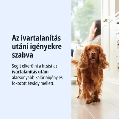 Szövegkép: Az ivartalanítás utáni igényekhez igazítva. Segít elkerülni a súlygyarapodást az alacsonyabb kalóriaszükséglet és a megnövekedett étvágy mellett, amely az ivartalanítás után jelentkezik.
