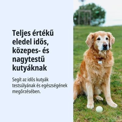 Teljes értékű eledel idős, közepes és nagytestű kutyák számára. Segíti az idősebb kutyák egészségének megőrzését és a testsúly megtartását.