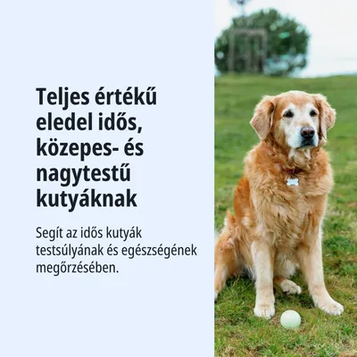 Teljes értékű eledel idős, közepes és nagytestű kutyák számára. Segíti az idősebb kutyák egészségének megőrzését és a testsúly megtartását.