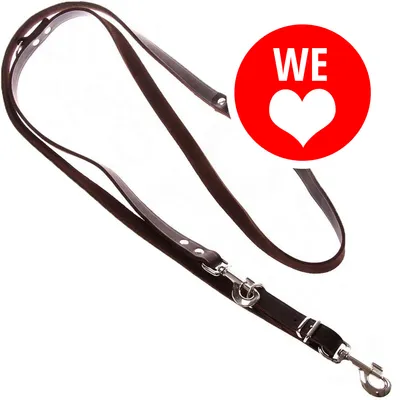 Guinzaglio in cuoio marrone con moschettone metallico, cerchio rosso con testo bianco 'WE' e cuore stilizzato. Materiali visibili: cuoio, metallo.
