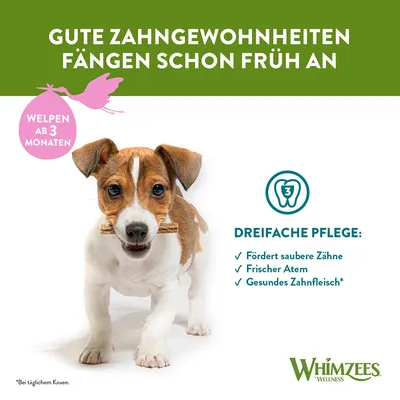 Texte en allemand : 'Gute Zahngewohnheiten fangen schon früh an'. Cercle rose : 'Welpen ab 3 Monaten'. Whimzees. Dreifache Pflege : Fördert saubere Zähne, Frischer Atem, Gesundes Zahnfleisch.