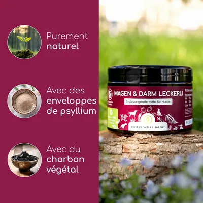 Wolfsbacher Natur Friandises pour l’estomac et l’intestin Complément alimentaire pour chiens, entièrement naturel, avec de l’ispaghul et du charbon végétal. Boîte du produit représentée en extérieur.
