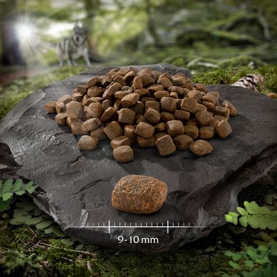 Croquettes brunes en forme de cubes sur une pierre, un morceau mis en avant avec indication de taille 9–10 mm.