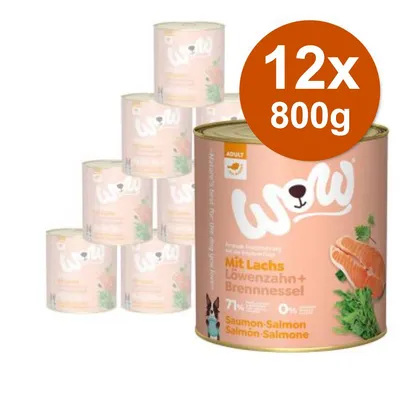 Confezione da 12 lattine WOW Mit Lachs Löwenzahn + Brennnessel, 800 g ciascuna. Testo visibile: Saumon-Salmon Salmone, 71 %, 0 %. Immagine di salmone e verdure sull'etichetta.