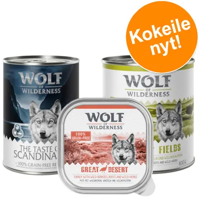 Wolf of Wilderness -koiranruokapakkaukset: The Taste of Scandinavia, Great Desert ja Fields. Teksti: Kokeile nyt! 100 % viljaton. Näkyvissä brändi ja tuotetiedot.