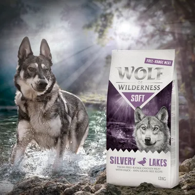 Wolf of Wilderness Soft Silvery Lakes, pollo de corral fresco con pato, receta 100% sin cereales, 12 kg.