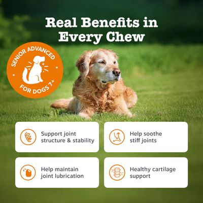 Zesty Paws Senior Hip & Joint Chews pulyka