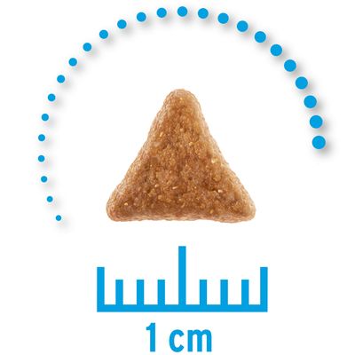 Kolmionmuotoinen nappula, jonka koko on noin 1 cm, mitta-asteikko näkyvissä alapuolella.