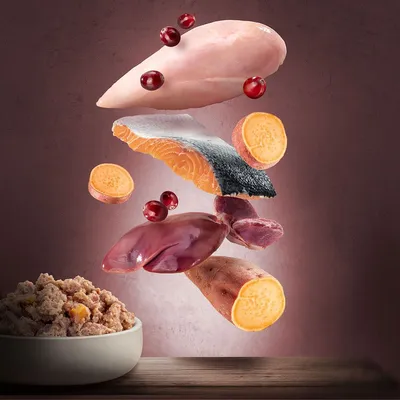 Rå ingredienser: kyllingebryst, laks med skind, sød kartoffel, lever, tranebær og en skål færdiglavet vådfoder. Ingen synlige mærker eller tekst.