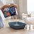 Ever Clean Instant Freshness Katzenstreu wird in eine Katzentoilette gefüllt, weiße Katze steht daneben. Verpackung mit 10L-Angabe sichtbar.