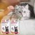 Person applying spot-on treatment to a long-haired cat, with two boxes of Beaphar FIPROtec Combo showing key features: kills fleas, ticks and biting lice, prevents flea multiplication.