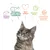 Reines Futter, perfektes Eiweiss-Fett-Verhältnis, Tierschutz, bessere Welt, glückliche gesunde Katzen. Illustration mit Katze und Symbolen.