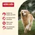 animonda. Füttern mit Herz und Verstand. Geliebt von Hunden seit 1991, von Expert:innen entwickelt, ohne Zusatz von Zucker, für individuelle Bedürfnisse.
