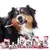 Dog holding toothbrush in mouth with various dental care products displayed, including toothpaste, toothbrushes, dental kits, and oral sprays for pet dental hygiene.