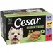 Cesar Garden Terrine Trays in Loaf Mixed Pack - 24 x 150g