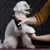 Hund wird mit einer schwarzen elektrischen Fellschermaschine gepflegt. Hand hält die Maschine und unterstützt das Bein des Hundes.