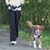 Ceinture de jogging noire avec laisse élastique attachée à un chien en harnais, portée par une personne marchant sur un chemin extérieur.