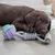 Chew toy made of braided rope in grey with purple and turquoise accents, lying on a wooden floor.