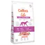 Calibra Dog Life Adult Large Breed Lamb - wygodne opakowanie 2 x 12 kg