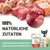 100% natürliche Zutaten. Keine Konservierungsstoffe oder zugesetzte Farbstoffe. Schesir Katzenfutter mit Huhn in Gelee, mehrere Packungen sichtbar.
