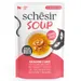 Sparpaket Schesir Cat Soup 24 x 40 g - Lachs und Karotte