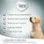 Concept for Life Labrador Sterilised. Controle van het lichaamsgewicht, beschermt botten & gewrichten, vezels voor vol gevoel, graanvrije receptuur, zonder tarwe of soja.