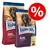 Två förpackningar Happy Dog hundfoder: Africa Strauss & Kartoffel och Irland Lachs & Kaninchen. Röd cirkel med procenttecken visar erbjudande eller rabatt.