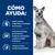 Texto: Cómo ayuda. Ayuda a mejorar la digestión y la absorción de nutrientes. Favorece la actividad de las bacterias intestinales beneficiosas y mejora la calidad de las heces. Favorece la salud del sistema inmunitario.