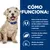 Cómo funciona: bajos niveles de azúcares y fibra para regular la glucemia, proteínas de alta calidad con L-carnitina, niveles adecuados de grasa y calorías. Perro pequeño con collar azul.