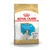 ROYAL CANIN Puppy Jack Russell Terrier dry dog food, visible text: up to 10 months old, image of a Jack Russell puppy on front of pack