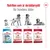 Royal Canin hundfoder för olika åldrar: Puppy 2–12 månader, Medium Adult 12 månader–7 år, Medium Adult 7+ 7–10 år, Medium Ageing 10+ efter 10 år. Text: Nutrition som är skräddarsydd för hundens ålder.