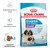 Royal Canin Starter Mother & Babydog Giant 1–2 months. Mantenimiento de la salud, sistema inmunitario fuerte, croqueta rehidratable. Imagen de perra y cachorro en el envase.