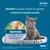 Seresto puede usarse en gatitos a partir de 10 semanas de edad. Envase Seresto Gatos, 7-8 meses de protección, collar 1,25 g + 0,56 g para gatos. Marca Elanco visible.
