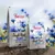 Purizon Single Meat Salmon with Cornflower Blossoms, 65% meat, 35% vegetables, 0% grain. Two bags shown: 12kg and 1kg sizes.
