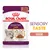 Royal Canin Sensory Taste, 85 g, Stückchen in Sosse. Stimulierend für den ausgeprägten Geschmackssinn von Katzen.