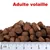 Croquettes avec texte « Adulte volaille » en rouge et règle indiquant la taille des croquettes de 0 à 6 cm.