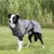 Chien noir et blanc portant un manteau ou peignoir gris en tissu, debout sur l’herbe. Sangle visible autour du corps. Aucun texte ou marque visible.