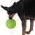 Hund spielt mit grünem Ball, der mit Knochen- und Kreismustern verziert ist.