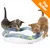 Två kattungar leker med blått och vitt plastbana-leksak med gröna bollar. Orange hörn med texten 'Top Seller'.