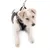 Hundegeschirr in Schwarz und Grau mit Metallring für Leine, getragen von einem Hund. Geeignet für Spaziergänge oder Training.