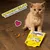 Dreamies Katzensnacks in gelber Verpackung. Text: Unwiderstehlich für Katzen und Kätzchen. Katze neben Snacks auf Holzboden, Herzsymbol sichtbar.