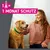 Frontline® TRI-ACT Hunde S (5 - 10 kg)