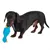 Donkerbruine hond houdt een blauw-geel speelgoed in de vorm van een kip in de bek.