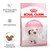 ROYAL CANIN KITTEN Up to 12 months, sachet avec chaton, texte en allemand : Starke körpereigene Abwehrkräfte, Gehirnentwicklung, Angepasste Kroketten­größe, croquettes visibles.
