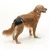 Animal wearing a black disposable nappy, demonstrating how the product is fitted and worn for incontinence or hygiene purposes.