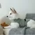 Hund trägt eine graue Weste mit Klettverschluss und liegt auf einem Sofa neben einem braunen Stofftier. Hund trägt eine graue Weste mit Klettverschluss und liegt auf einem Sofa neben einem braunen Stofftier.